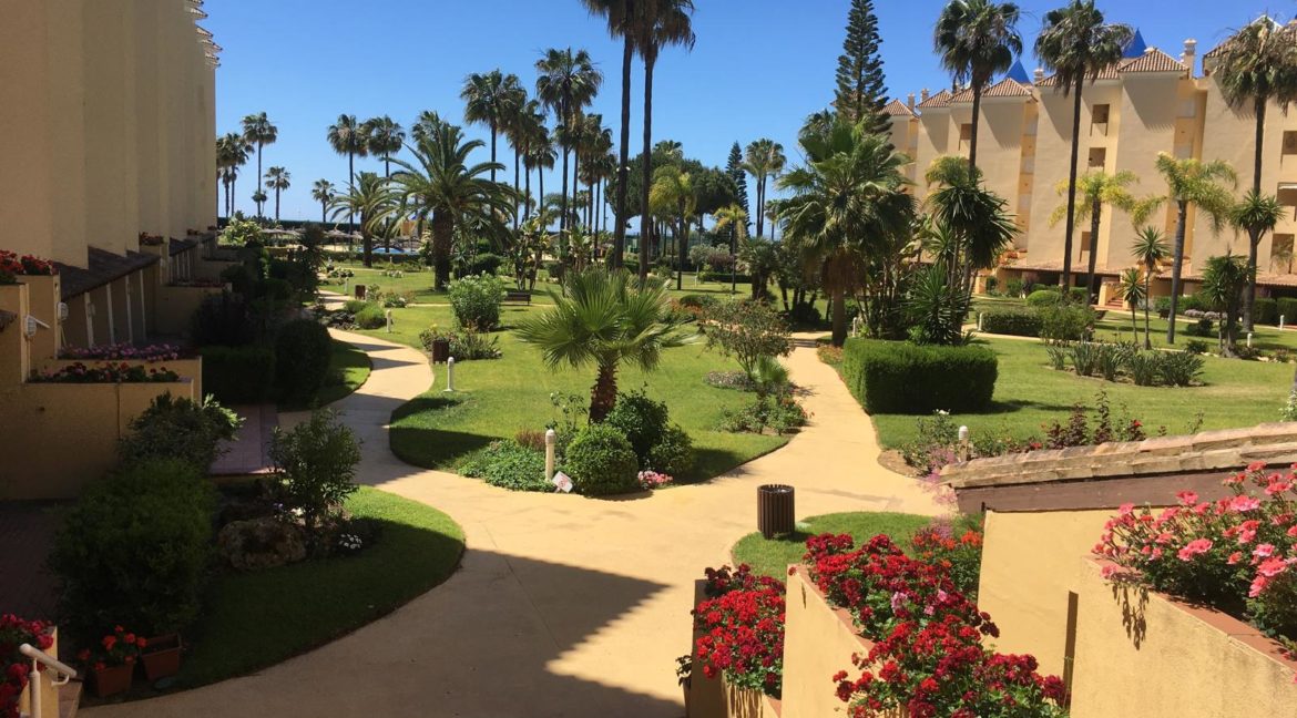 WhatsApp Image 2026-01-31 at 11.25.07