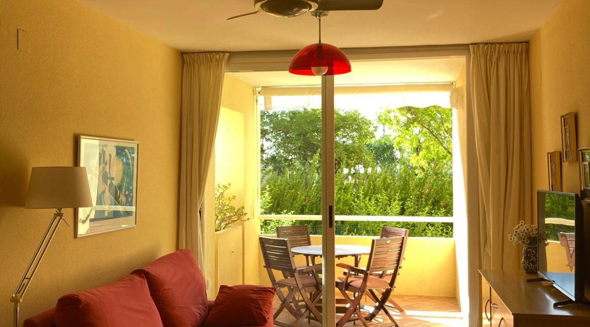 WhatsApp Image 2026-01-31 at 11.25.09 (6)