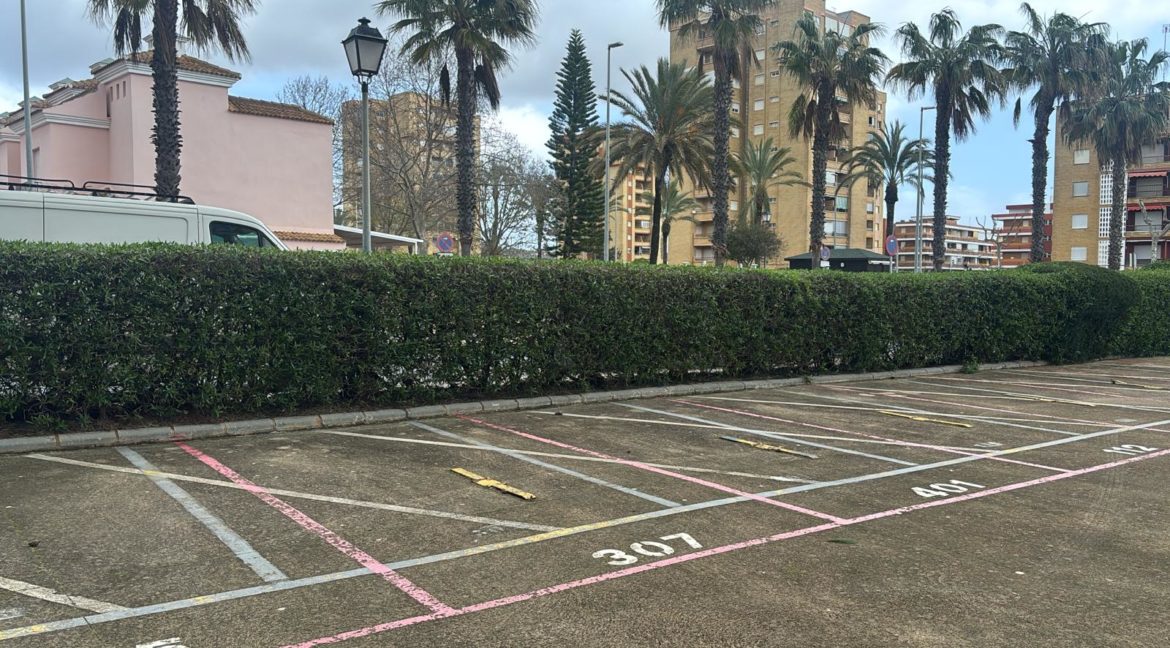 WhatsApp Image 2026-01-31 at 13.07.31